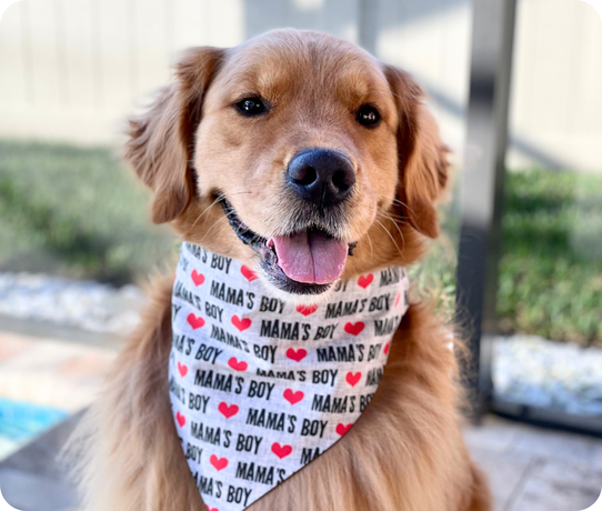 Made for dogs with